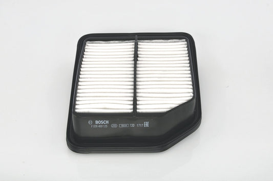Bosch F026400125 Hava Filtresi