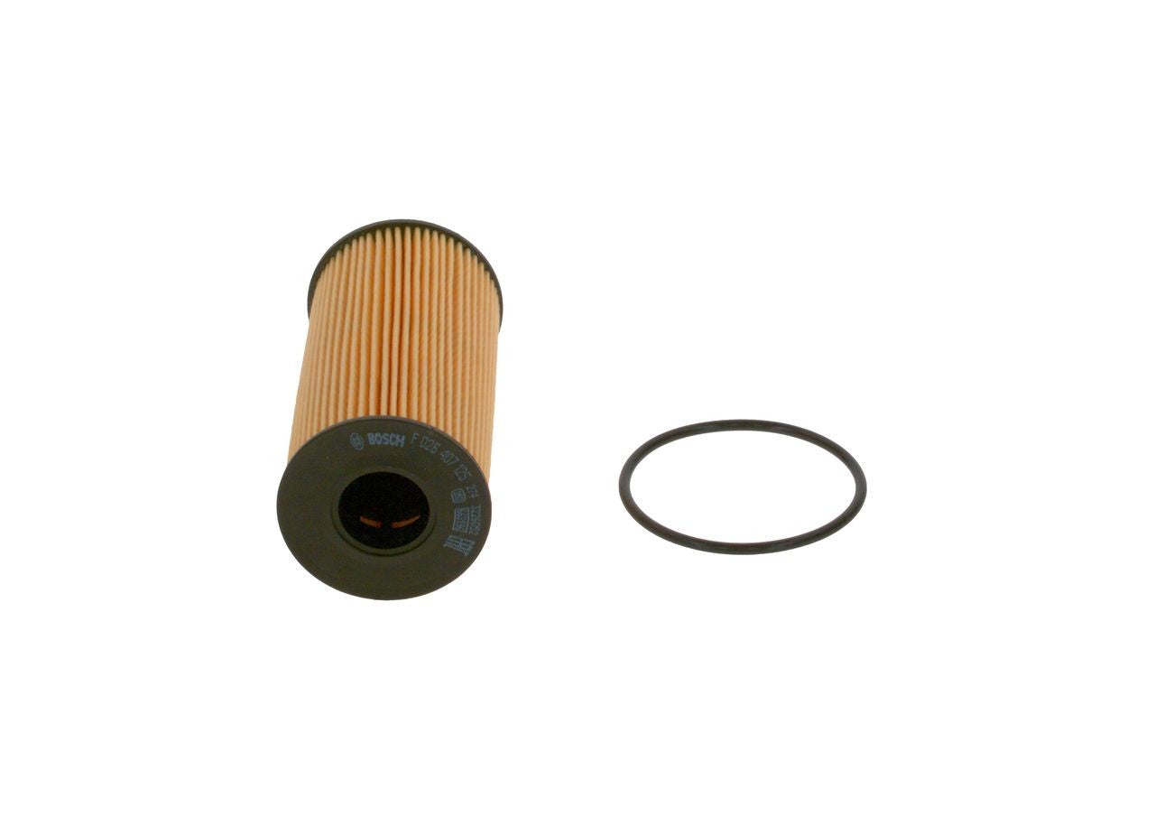 Renault Scenic IV 1.7 dci 150 7/2018 - 12/2022 110 kW Yağ Filtresi