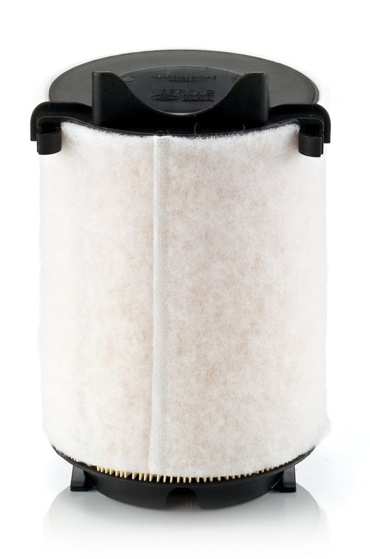 Mann-Filter C 14 130/1 (C141301) Hava filtresi