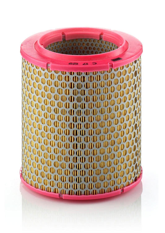 Mann-Filter C 17 129 (C17129) Hava filtresi