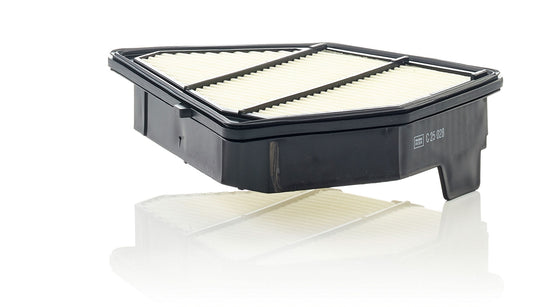 Mann-Filter C 25 028 (C25028) Hava filtresi