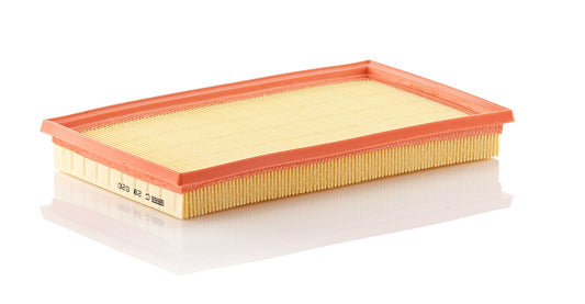 Mann-Filter C 29 020 (C29020) Hava filtresi