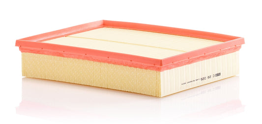 Mann-Filter C 29 029 (C29029) Hava filtresi