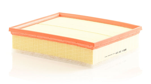 Mann-Filter C 29 034 (C29034) Hava filtresi
