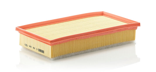 Mann-Filter C 29 124 (C29124) Hava filtresi